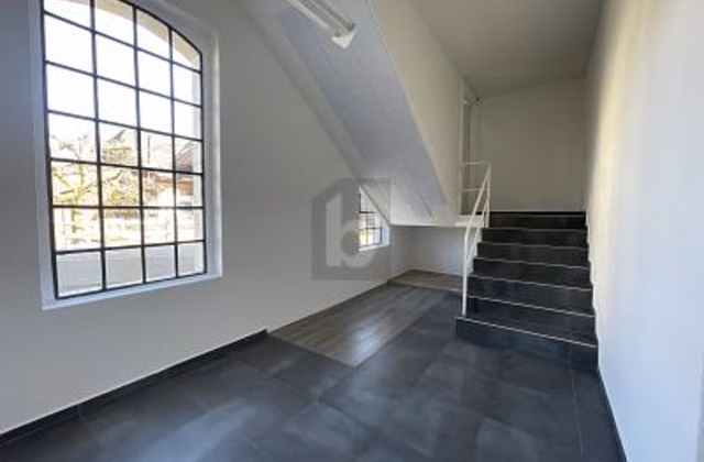 SPACE FOR IDEAS AND DEVELOPMENT
