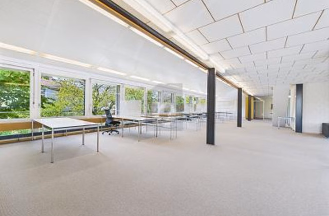OPEN, BRIGHT, CENTRAL
