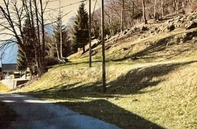 SUNNY AND PEACEFUL