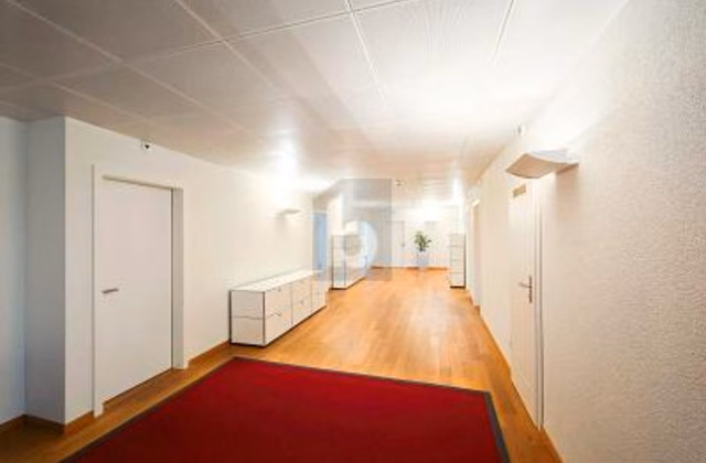 Prime location in the heart of the city