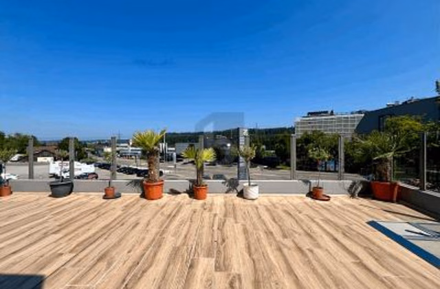 Freshly renovated with large terrace