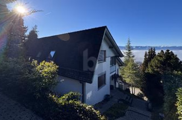 TEMPORARY, SPACIOUS AND SUN‑DRENCHED