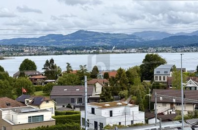 Representative office space with lake view and terraces