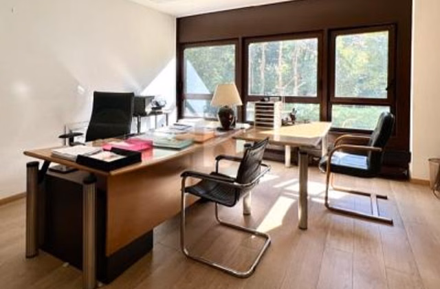 Beautiful sunny space in a quiet setting facing the trees