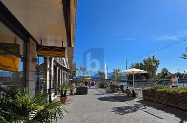 Ideally located on the Quai des Bergues