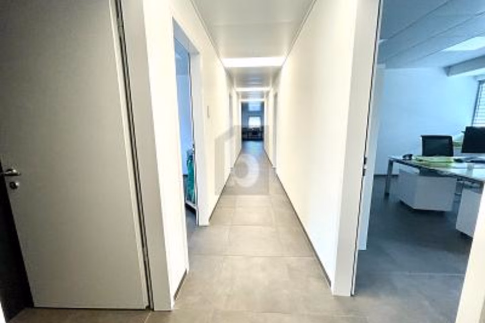 New Industrial/Commercial Building, 6528 Camorino, Ticino, CH