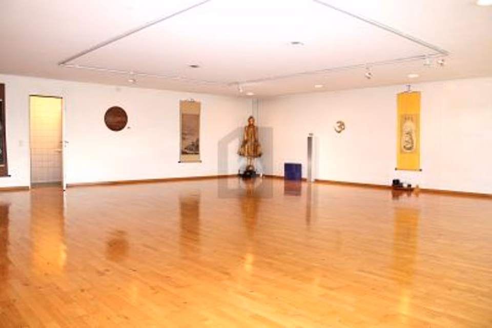 Bright space with cloakroom, shower and sauna, 4102 Binningen, Basel-Landschaft, CH
