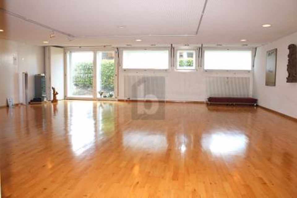 Bright space with cloakroom, shower and sauna, 4102 Binningen, Basel-Landschaft, CH