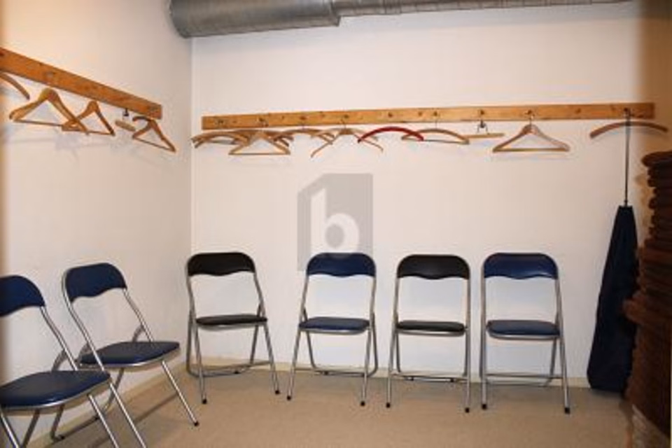 Bright space with cloakroom, shower and sauna, 4102 Binningen, Basel-Landschaft, CH