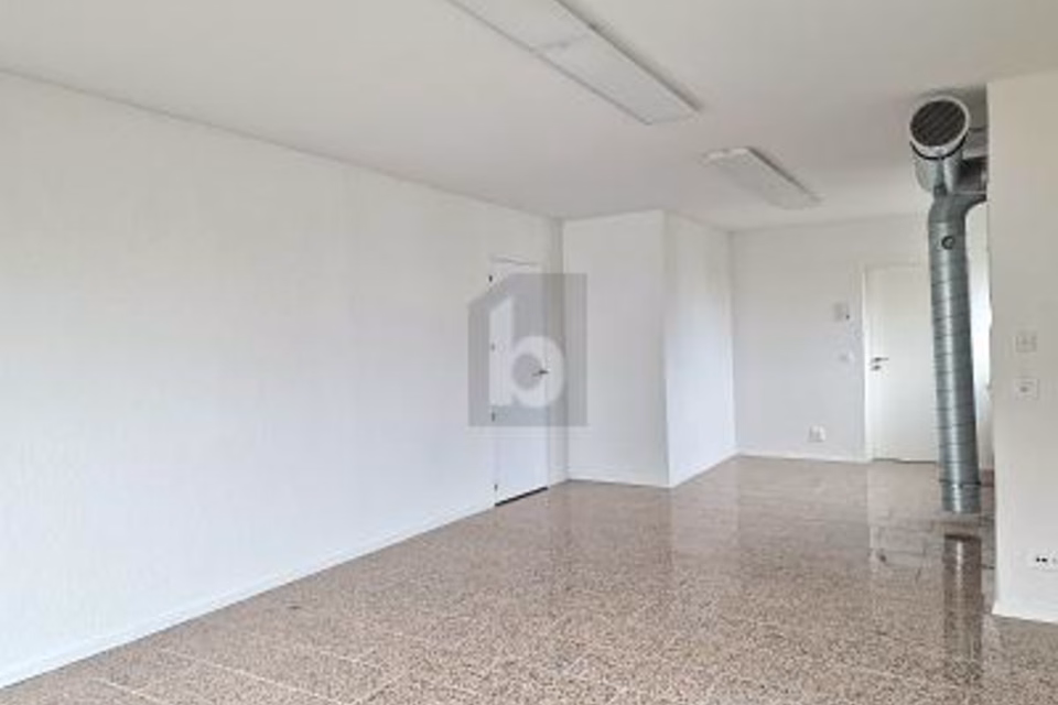 START NOW — 3 MONTHS RENT-FREE, 9542 Münchwilen TG, Thurgau, CH