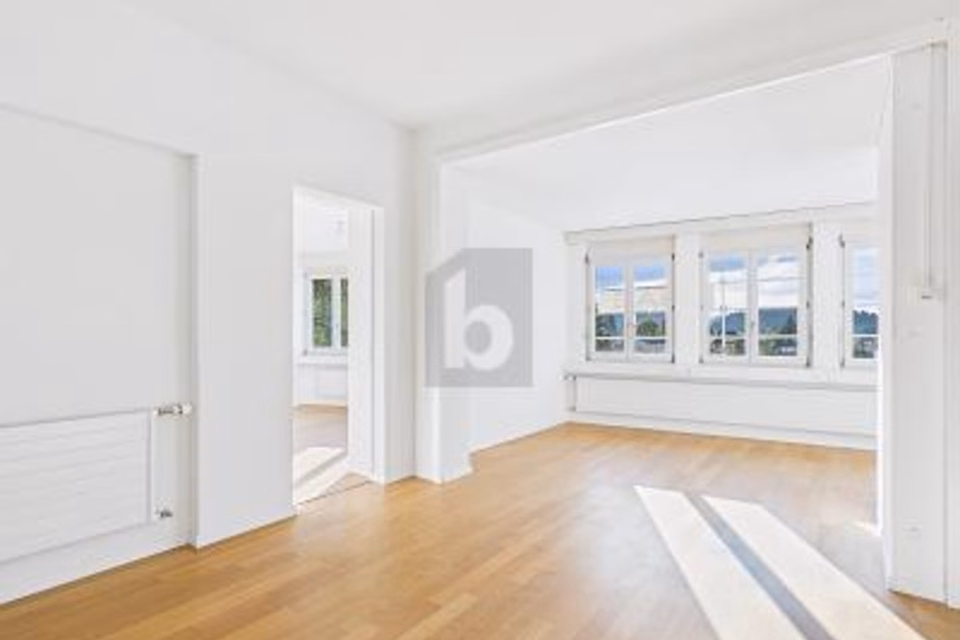 CREATIVE OASIS IN GREEN SURROUNDINGS AND YET CENTRAL, 6006 Luzern, Lucerne, CH