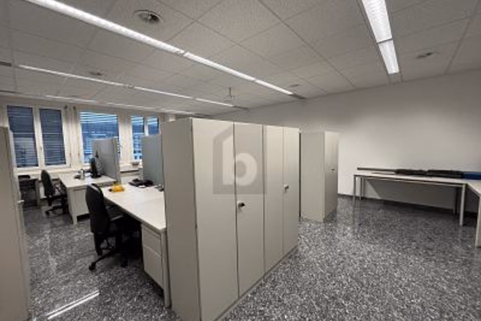 SPACIOUS, BRIGHT & WELL CONNECTED, 8952 Schlieren, Zurich, CH