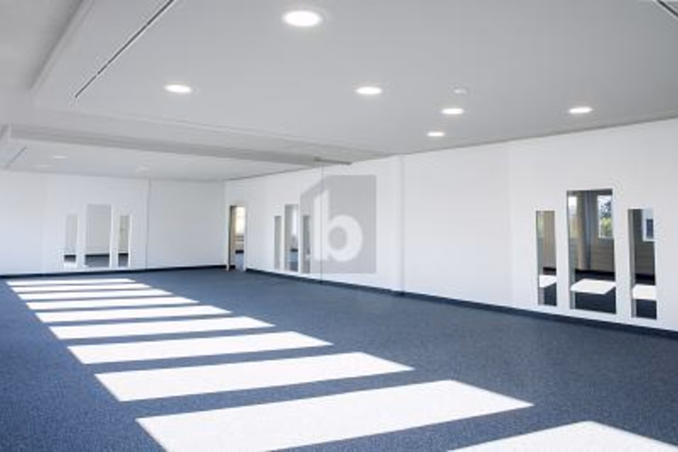 Spacious premises with many underground parking spaces, 8304 Wallisellen, Zurich, CH