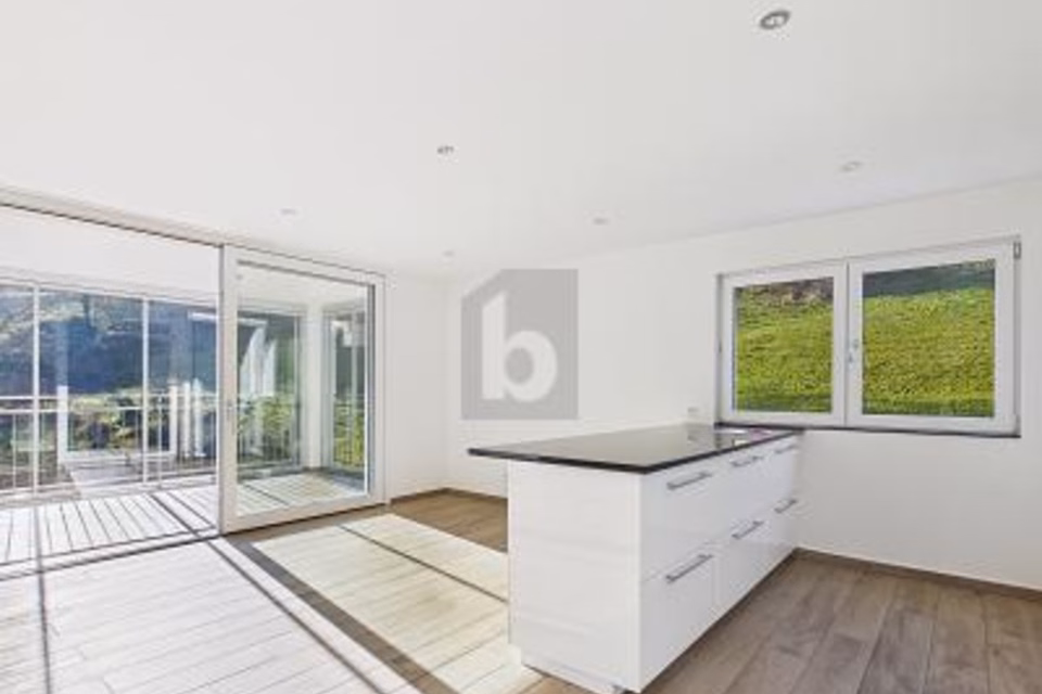 REPRESENTATIVE PREMISES IN A QUIET LOCATION, 6015 Luzern, Lucerne, CH