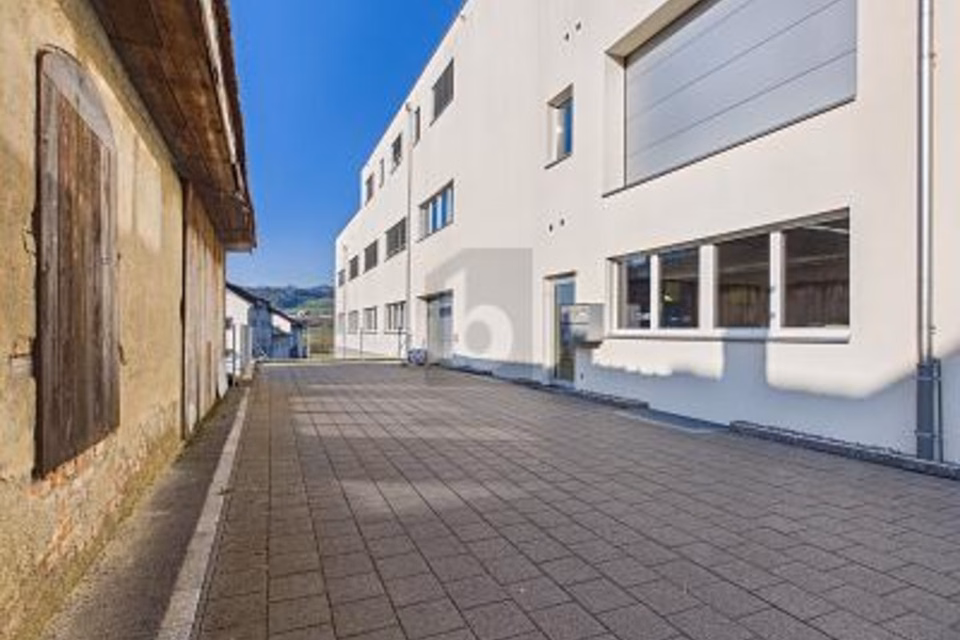 Modern workshop for flexible use, 6280 Hochdorf, Lucerne, CH