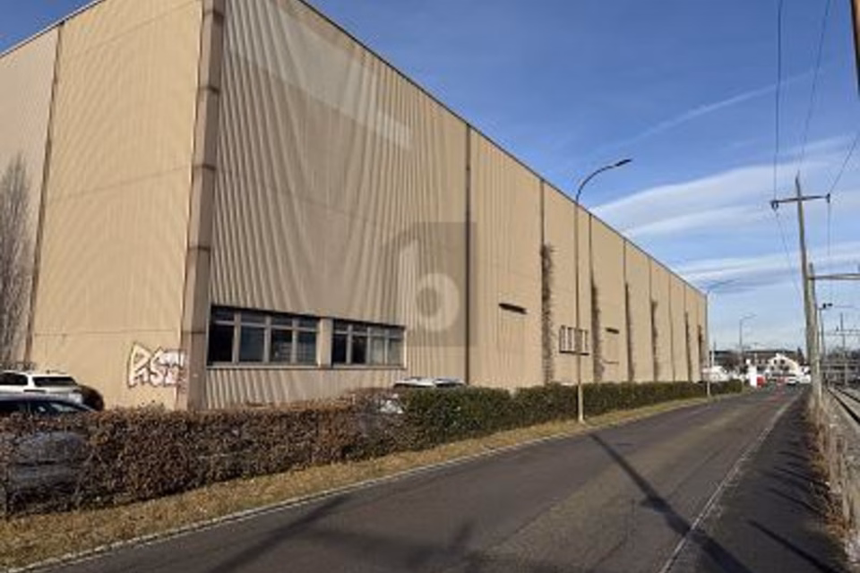 Spacious and representative, with truck ramps, 4142 Münchenstein, Basel-Landschaft, CH