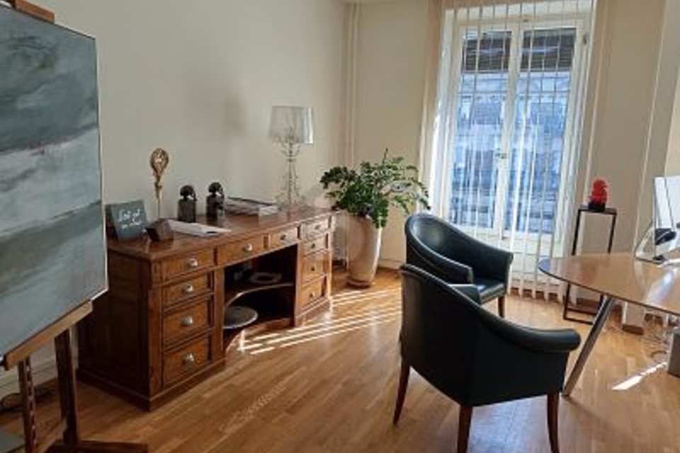 CENTRAL, PROFESSIONAL & COMFORTABLE, 1201 Genève, Geneva, CH
