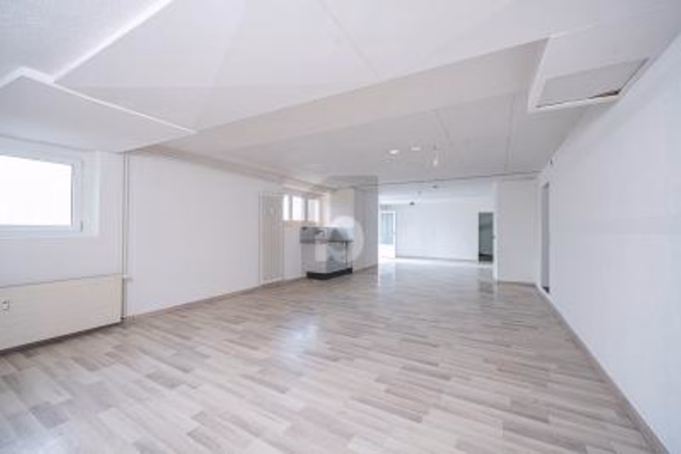 SPACIOUS, FLEXIBLE WITH OWN GARAGE, 4414 Füllinsdorf, Basel-Landschaft, CH