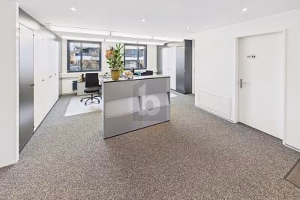 CENTRAL AND SPACIOUS, 3280 Murten, Fribourg, CH