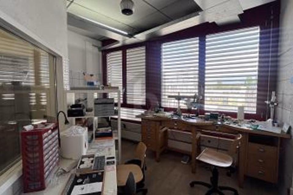 BRIGHT, QUIET & CONVENIENT, 1227 Carouge GE, Geneva, CH
