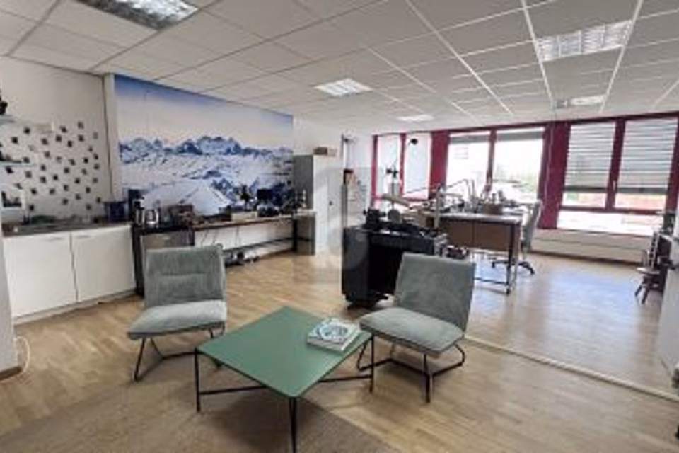 BRIGHT, QUIET & CONVENIENT, 1227 Carouge GE, Geneva, CH
