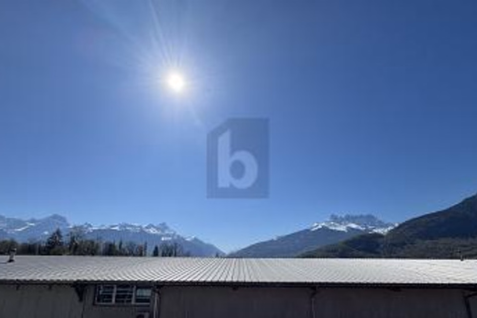 DOUBLE HALL — COMPLETELY NEW!, 1868 Collombey, Valais/Wallis, CH