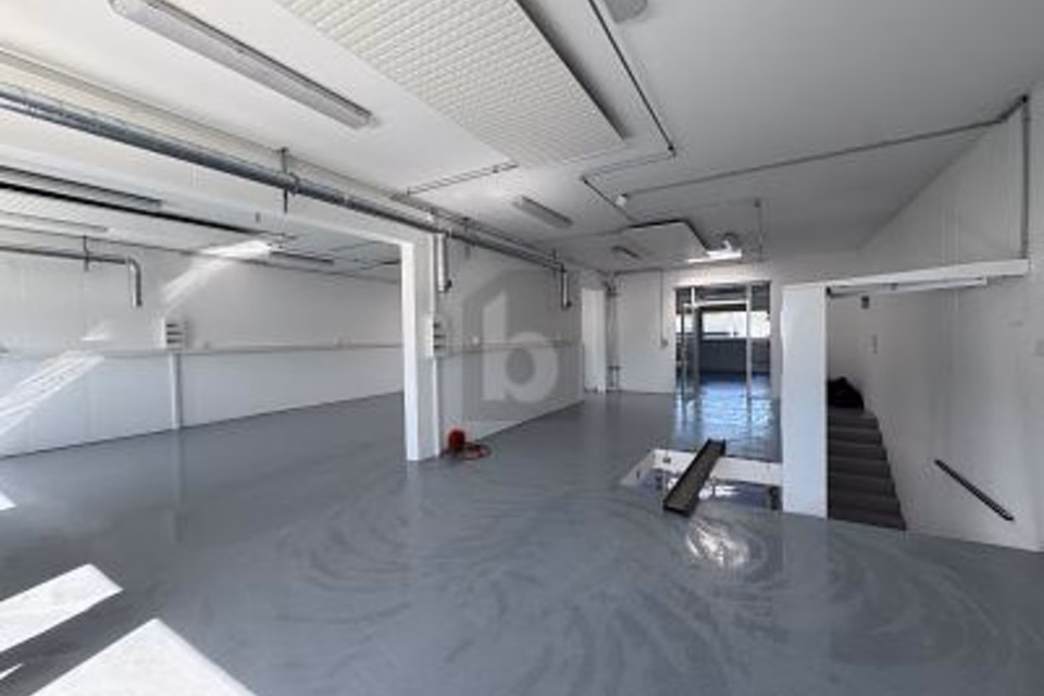 DOUBLE HALL — COMPLETELY NEW!, 1868 Collombey, Valais/Wallis, CH