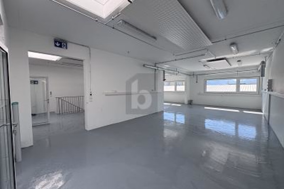 DOUBLE HALL — COMPLETELY NEW!, 1868 Collombey, Valais/Wallis, CH
