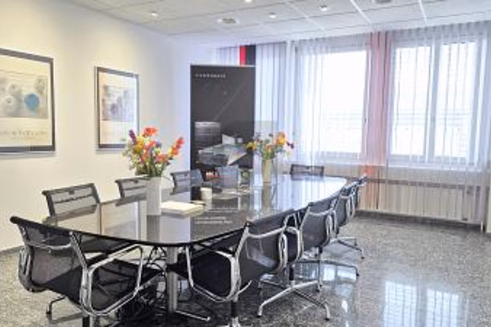 SPACIOUS, BRIGHT & WELL CONNECTED, 8952 Schlieren, Zurich, CH