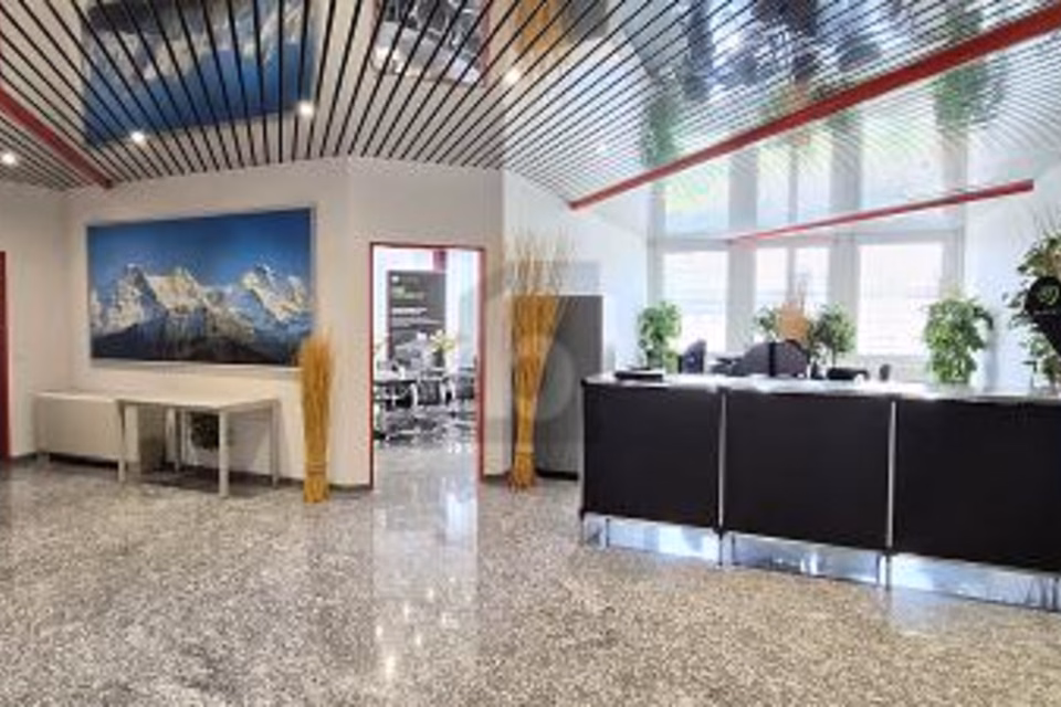 SPACIOUS, BRIGHT & WELL CONNECTED, 8952 Schlieren, Zurich, CH