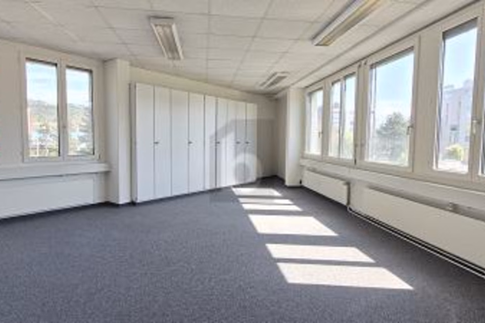 Close to train station - ideal for coaching sessions, 8952 Schlieren, Zurich, CH