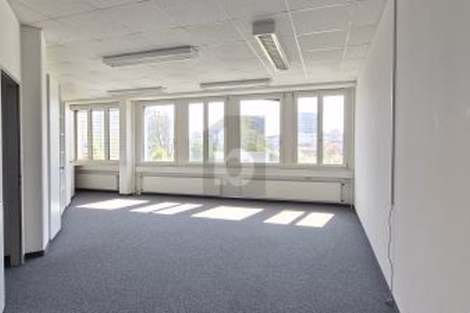 Close to train station - ideal for coaching sessions, 8952 Schlieren, Zurich, CH