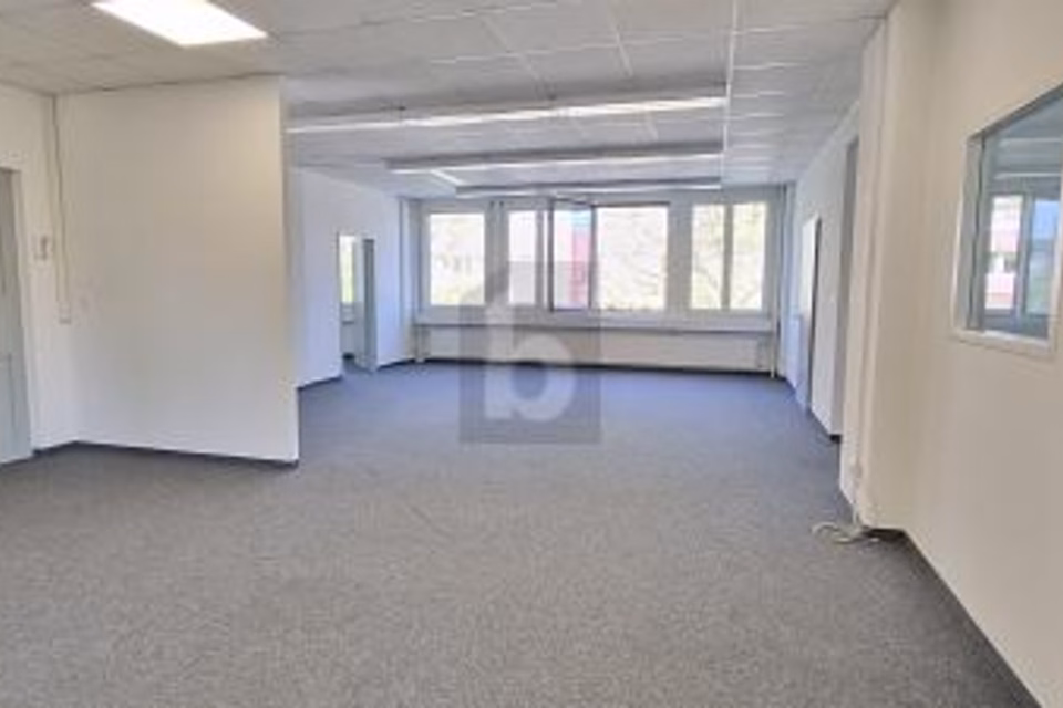 Close to train station - ideal for coaching sessions, 8952 Schlieren, Zurich, CH