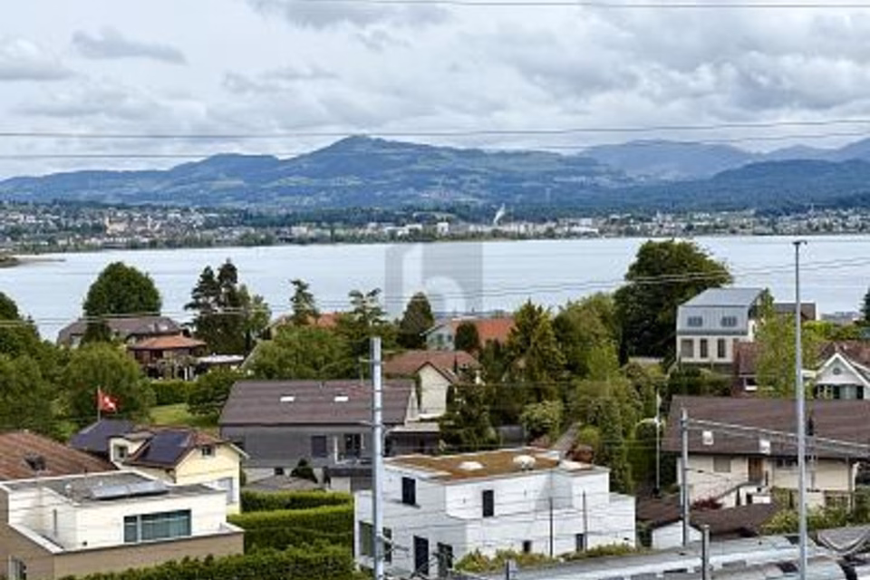 Representative office space with lake view and terraces, 8808 Pfäffikon SZ, Schwyz, CH