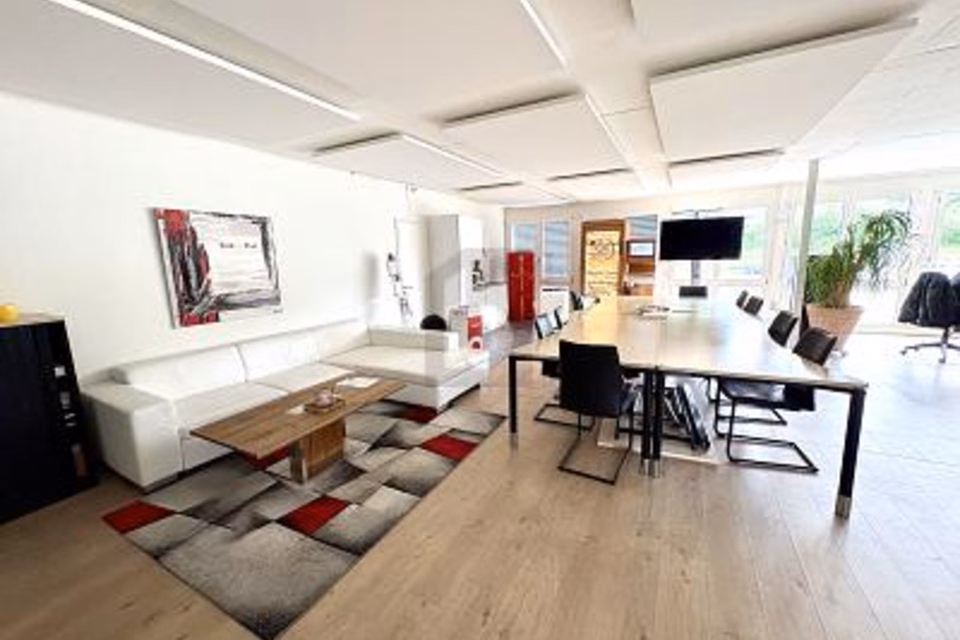Representative office space with lake view and terraces, 8808 Pfäffikon SZ, Schwyz, CH