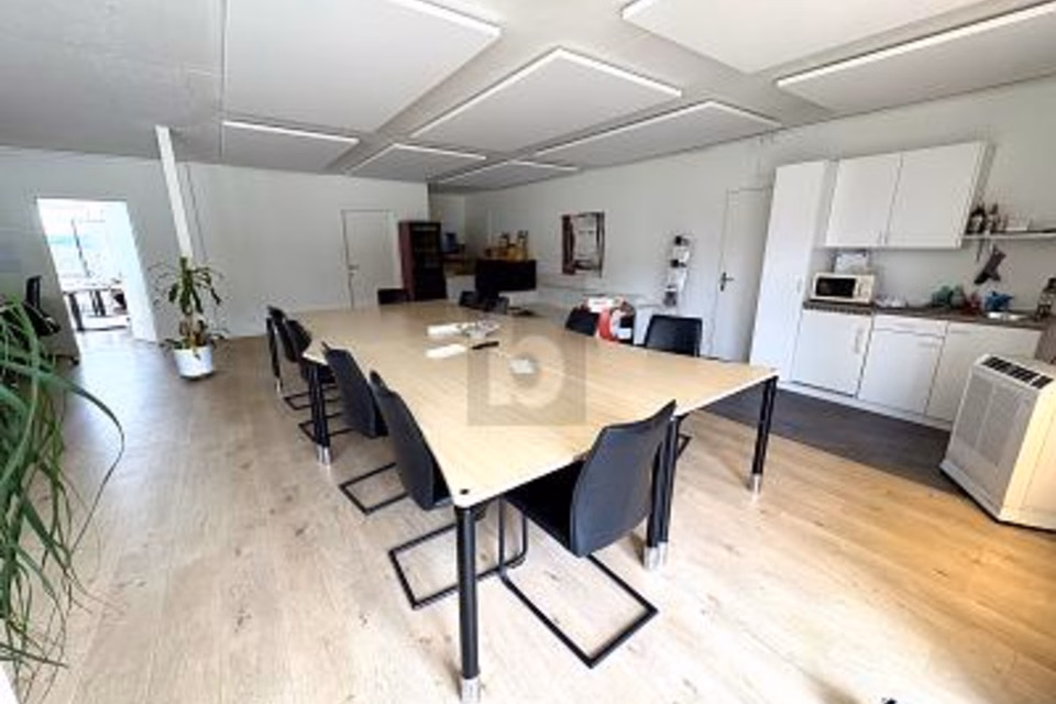 Representative office space with lake view and terraces, 8808 Pfäffikon SZ, Schwyz, CH