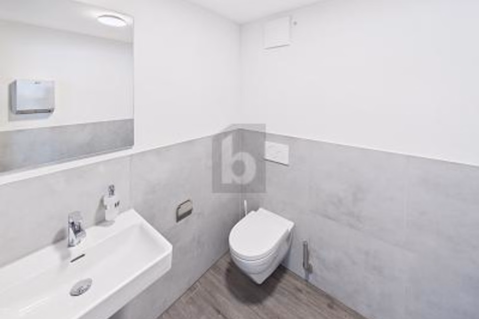 MODERN, SPACIOUS AND FLEXIBLE, 3367 Thörigen, Bern, CH