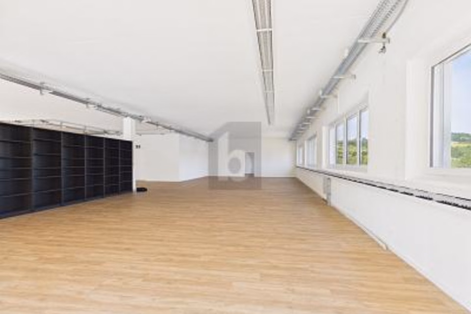 HIGH-QUALITY, NEW AND LIGHT-FILLED, 6280 Hochdorf, Lucerne, CH