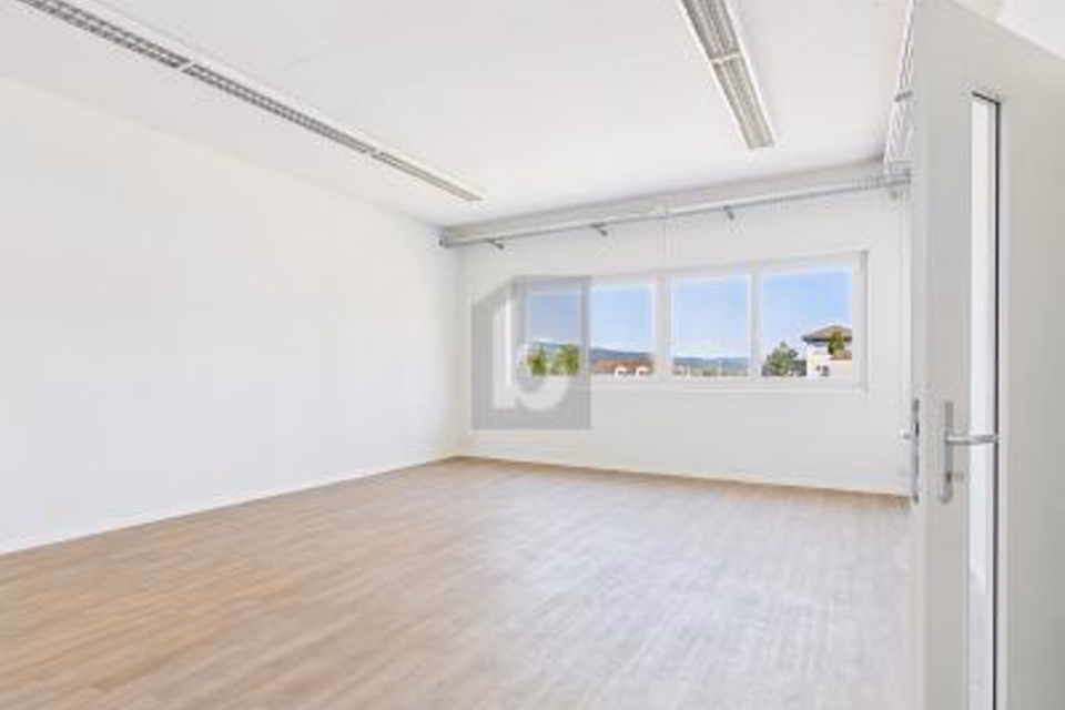 HIGH-QUALITY, NEW AND LIGHT-FILLED, 6280 Hochdorf, Lucerne, CH