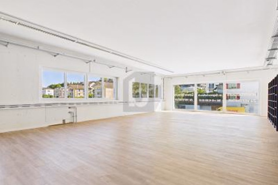 HIGH-QUALITY, NEW AND LIGHT-FILLED, 6280 Hochdorf, Lucerne, CH
