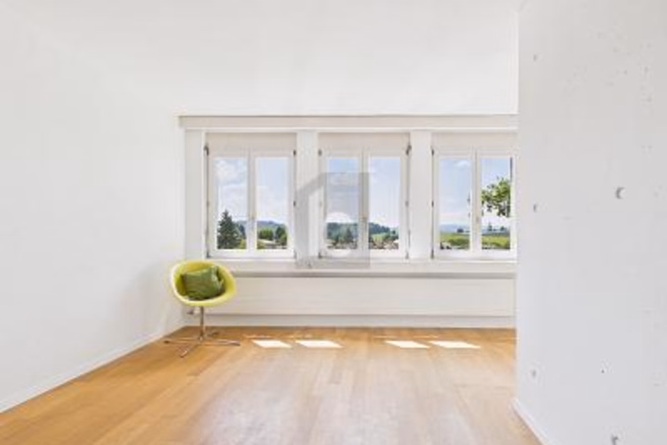 CREATIVE OASIS IN GREEN SURROUNDINGS AND YET CENTRAL, 6006 Luzern, Lucerne, CH