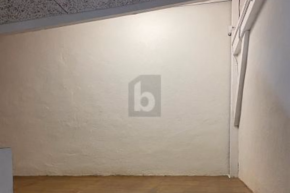 Ideally located, ground-level and quiet, 1227 Carouge GE, Geneva, CH