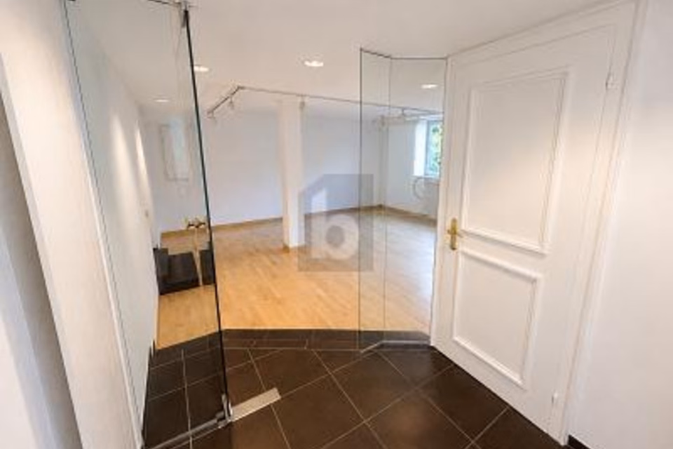 LIGHT-FILLED AND REPRESENTATIVE, 8118 Pfaffhausen, Zurich, CH
