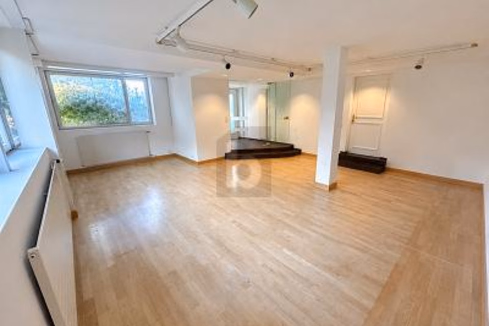 LIGHT-FILLED AND REPRESENTATIVE, 8118 Pfaffhausen, Zurich, CH