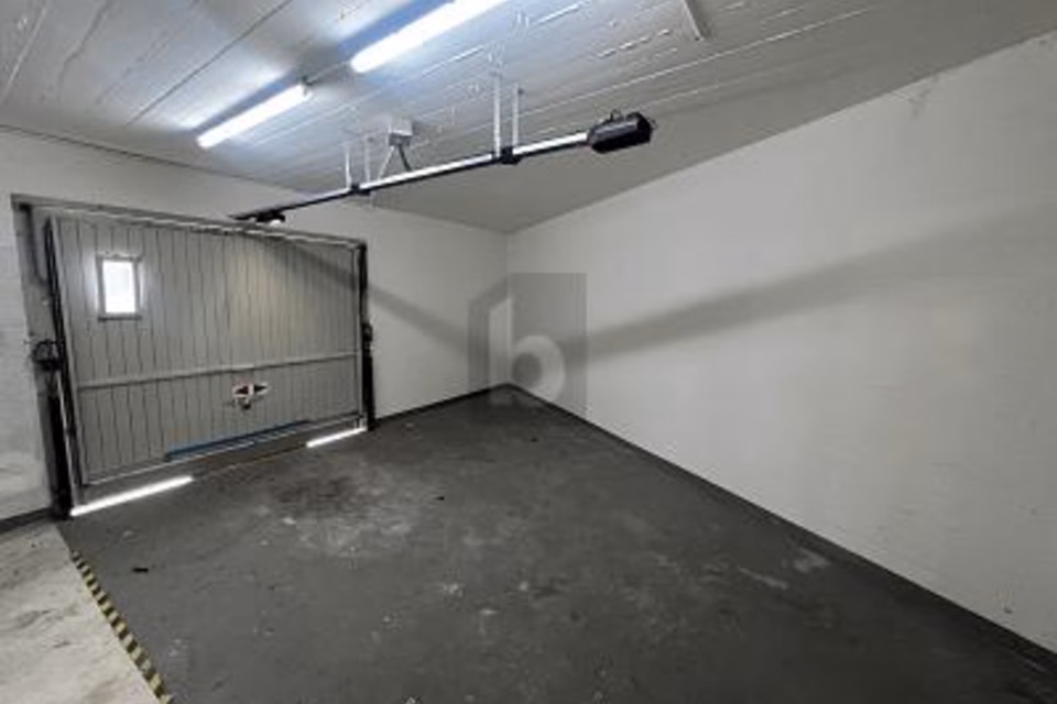 SPACIOUS, FLEXIBLE WITH OWN GARAGE, 4414 Füllinsdorf, Basel-Landschaft, CH