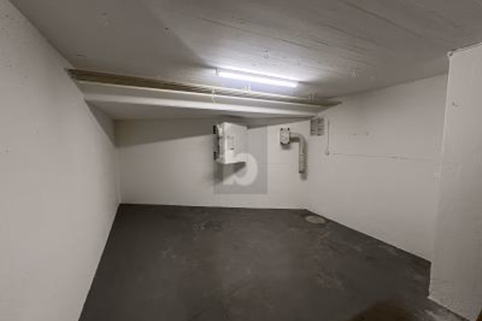 SPACIOUS, FLEXIBLE WITH OWN GARAGE, 4414 Füllinsdorf, Basel-Landschaft, CH