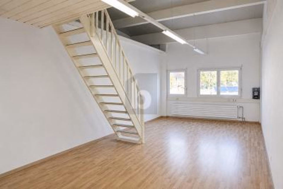 BRIGHT, FLEXIBLE, HIGH POTENTIAL, 1880 Bex, Vaud, CH