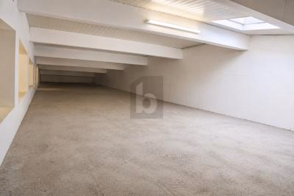 BRIGHT, FLEXIBLE, HIGH POTENTIAL, 1880 Bex, Vaud, CH