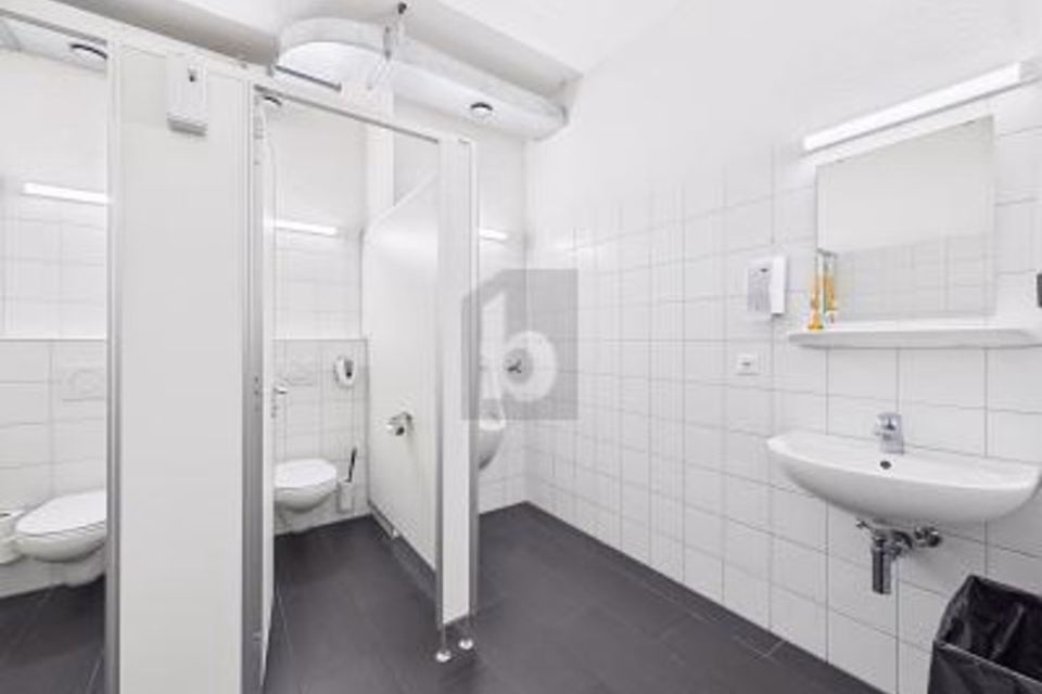 Huge production hall ideal for your business, 9016 St. Gallen, St. Gallen, CH
