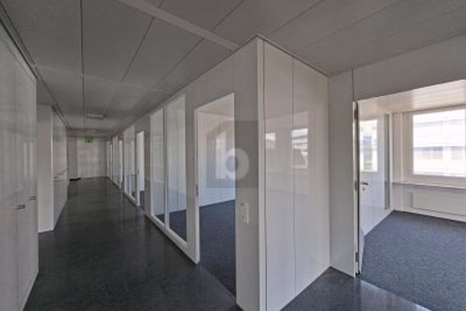 Flexible office space with excellent infrastructure, 6331 Hünenberg, Zug, CH
